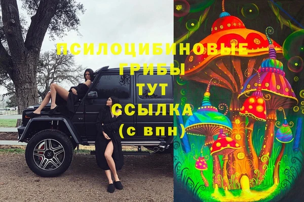 мяу мяу мука Абдулино
