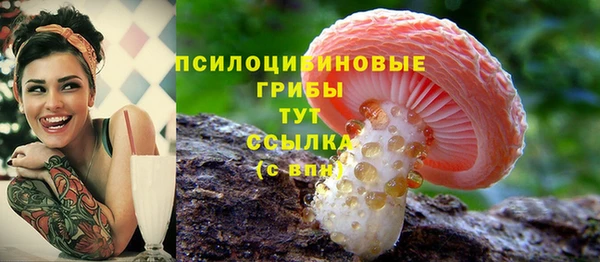 гидра Алексин